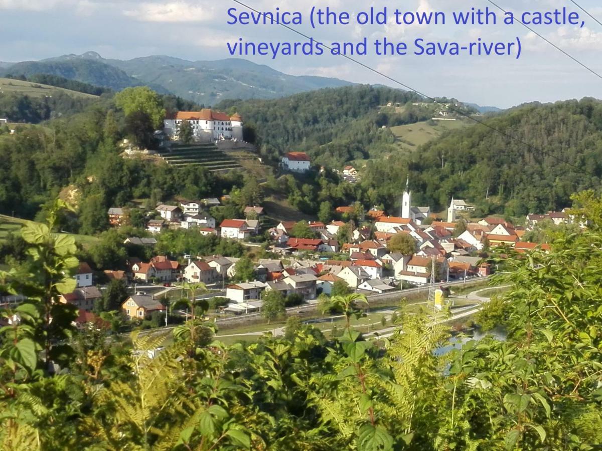 Getaway "At The Three Lights" Villa Sevnica Ngoại thất bức ảnh